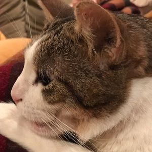 Meet your Posher, Adam